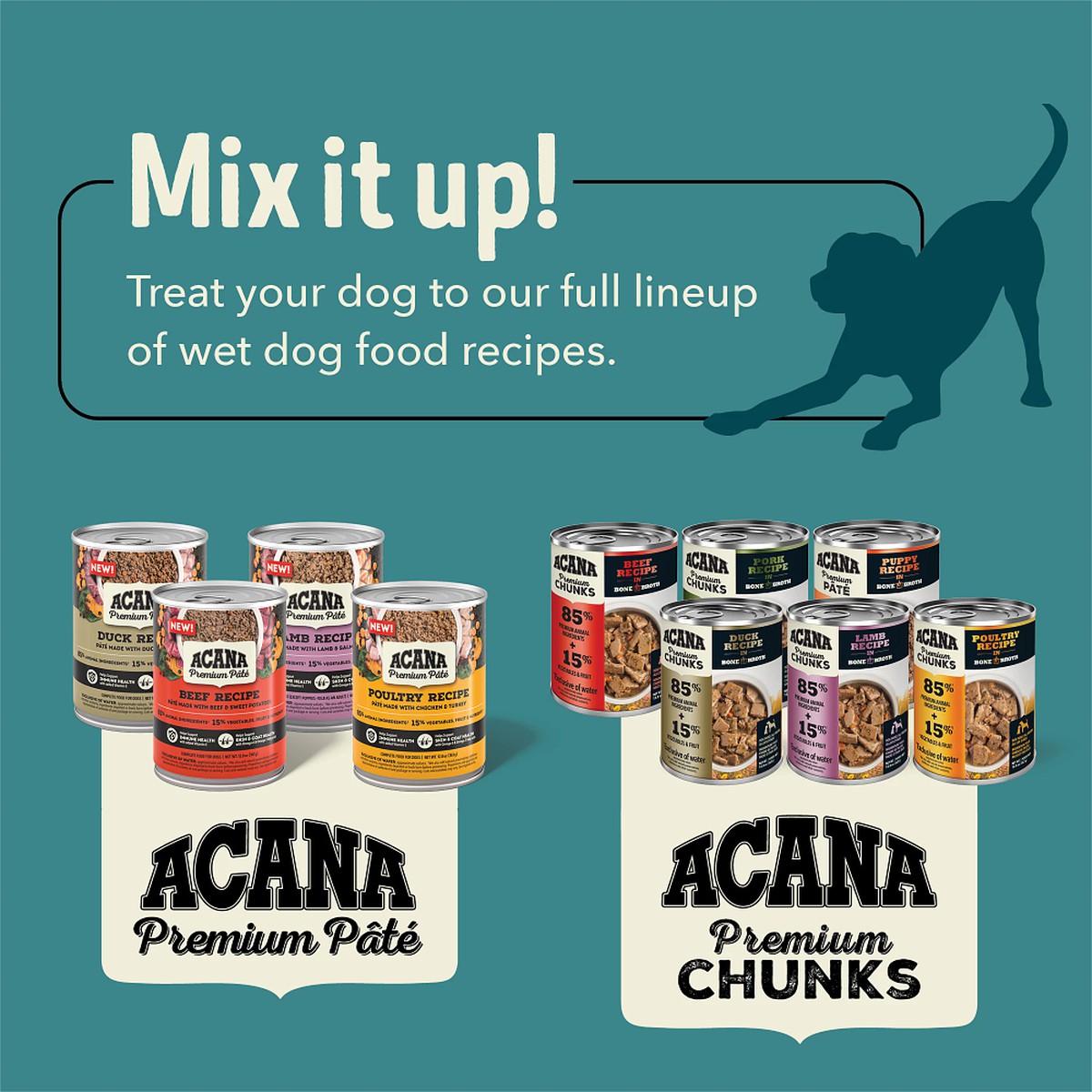 Acana ACANA PREMIUM PÂTÉ™, Beef Grain Free Wet Dog Food 12.8oz*12 | 957362PWQ