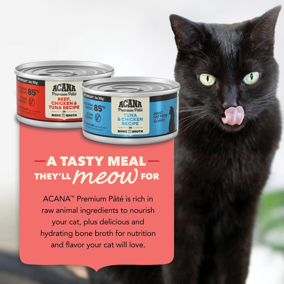 Acana ACANA Premium Pâté, Variety Pack, Surf & Turf Grain Free Wet Cat Food 12*3oz | 385967YNA