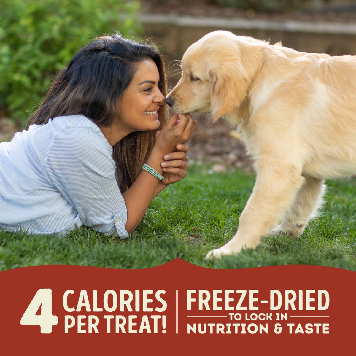 Acana Beef & Pumpkin Freeze-Dried Treats Limited Ingredients Grain Free Freeze-Dried Dog Treats 3.25oz | 627518PCS