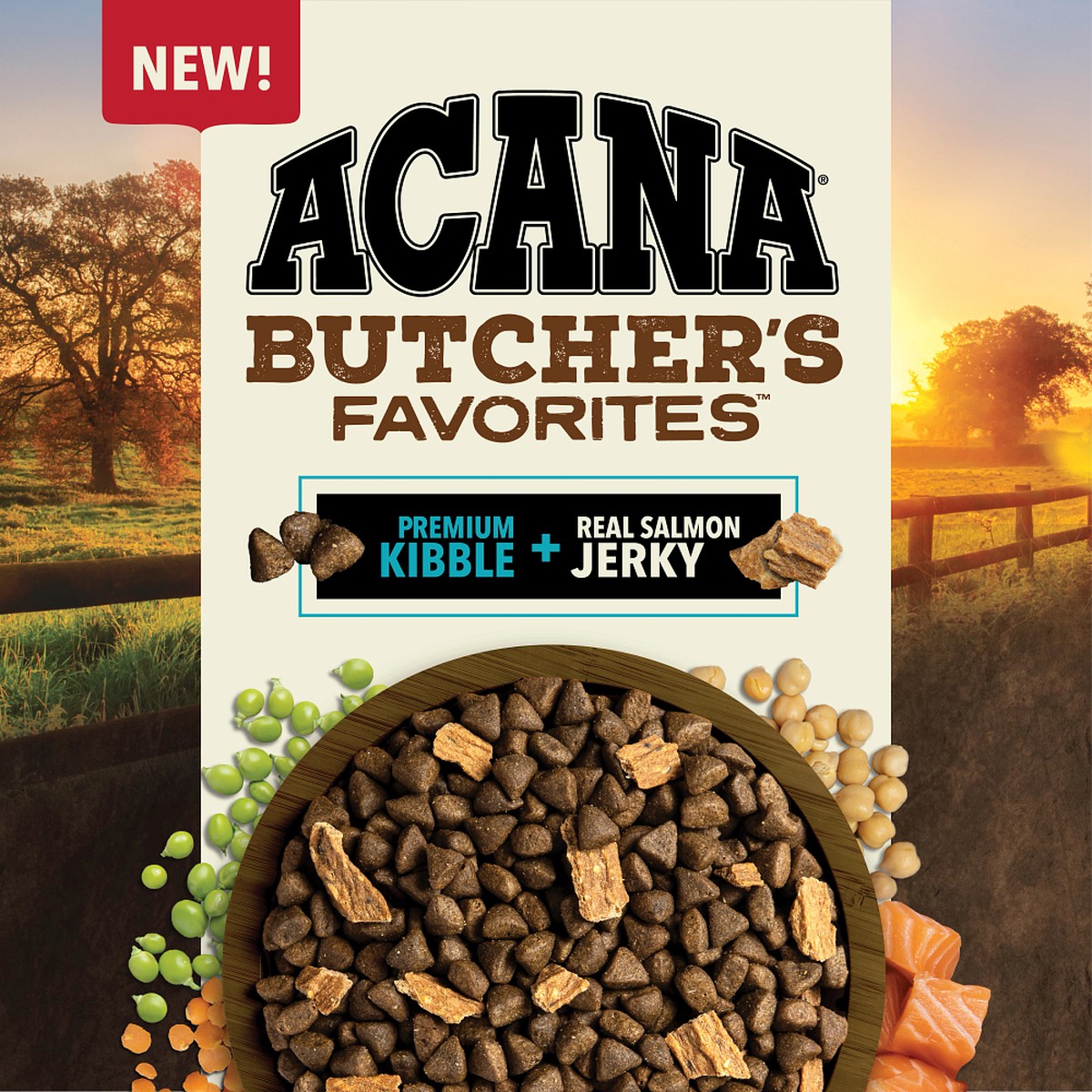 Acana Butcher's Favorites™, Wild-Caught Salmon Grain Free High Protein Dry Dog Food 4lb | 981430RFQ