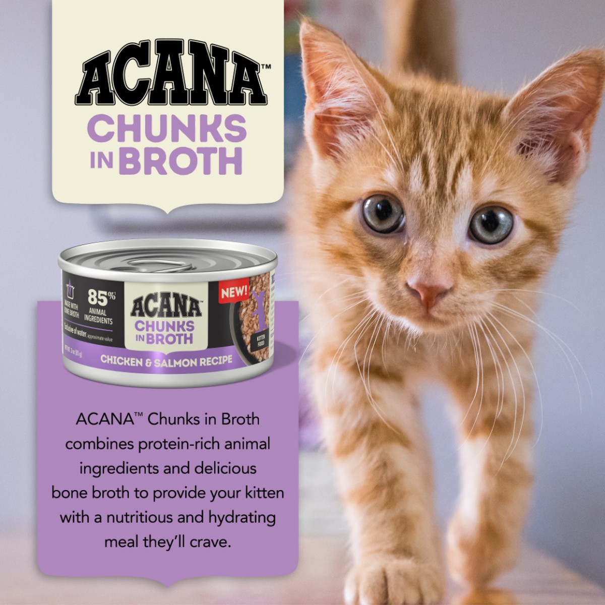 Acana Chunks in Broth Chicken & Salmon for Kittens Grain Free Wet Cat Food 3oz*12 | 013729PGA