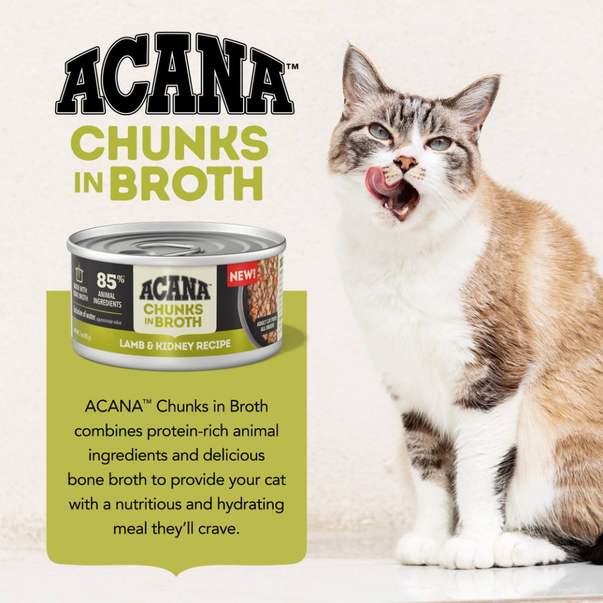 Acana Chunks in Broth Lamb & Kidney Grain Free Wet Cat Food 3oz*12 | 379012NTH