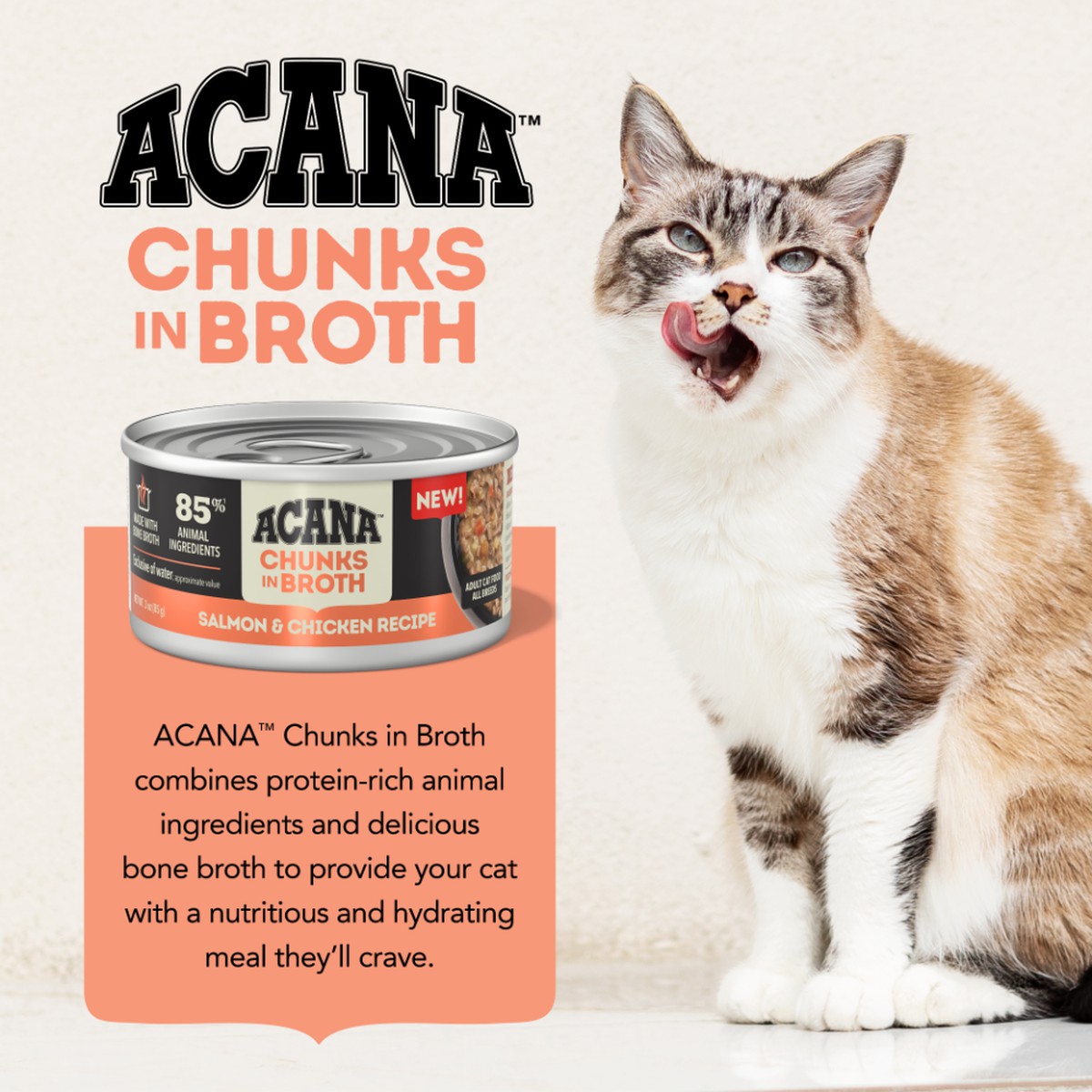 Acana Chunks in Broth Salmon & Chicken Grain Free Wet Cat Food 3oz*12 | 173469UEX