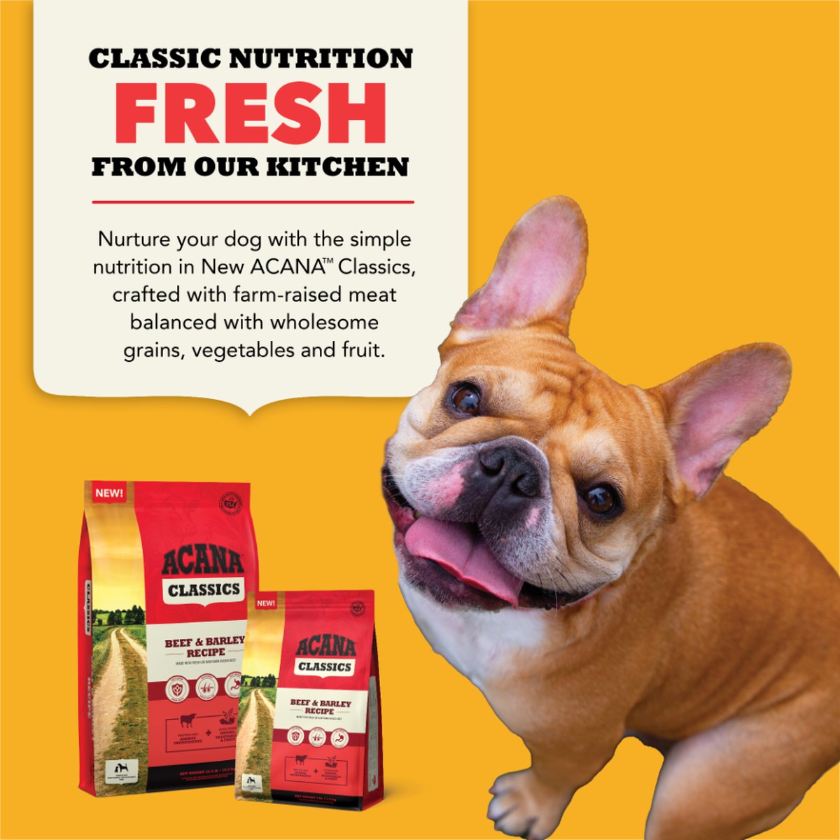 Acana Classics, Beef and Barley Grain Inclusive Dry Dog Food 22.5lb | 415869PTH