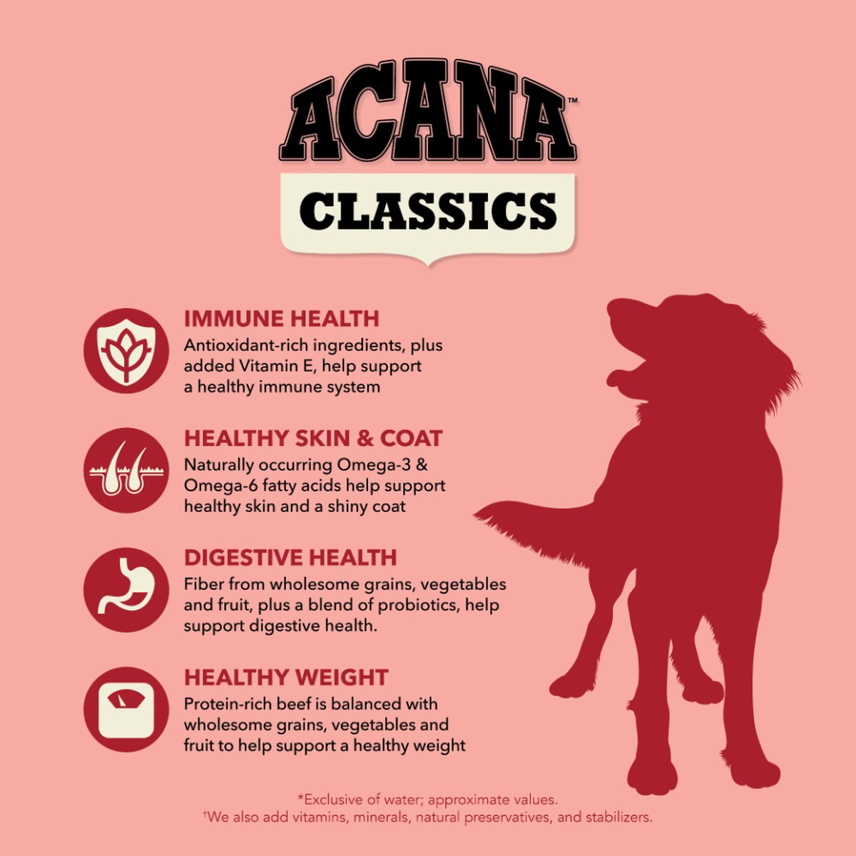 Acana Classics, Beef and Barley Grain Inclusive Dry Dog Food 22.5lb | 415869PTH