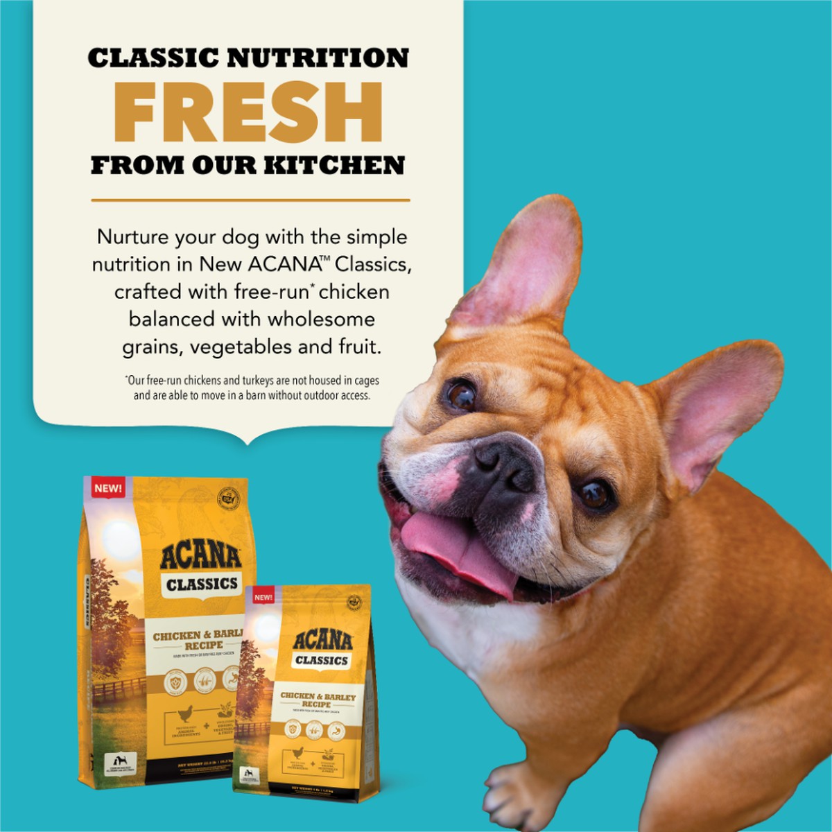 Acana Classics, Chicken and Barley Grain Inclusive Dry Dog Food 4lb | 948613ROA