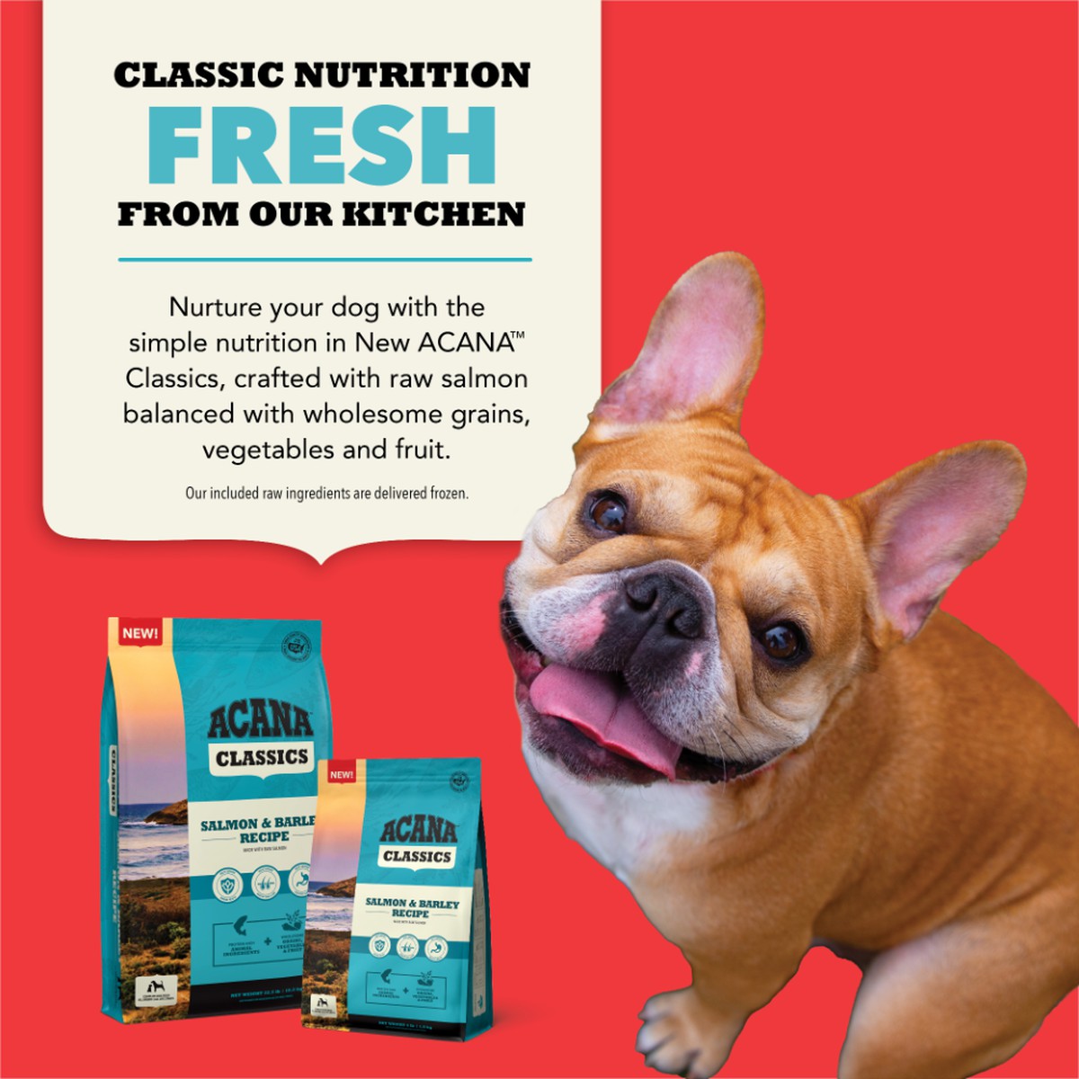 Acana Classics, Salmon and Barley Grain Inclusive Dry Dog Food 4lb | 539847NQT