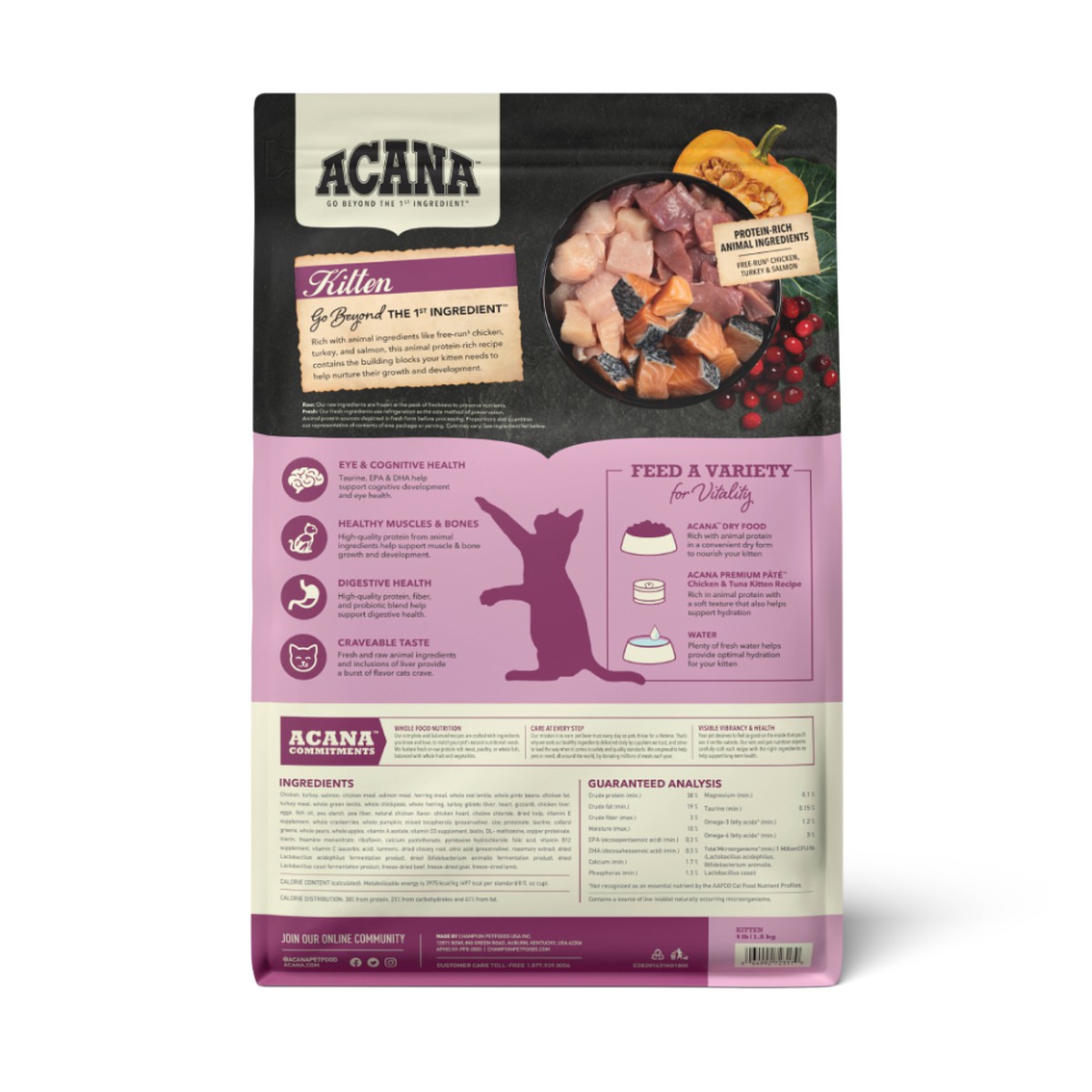 Acana Highest Protein, Kitten Grain Free Dry Cat Food 4lb | 607495ATQ