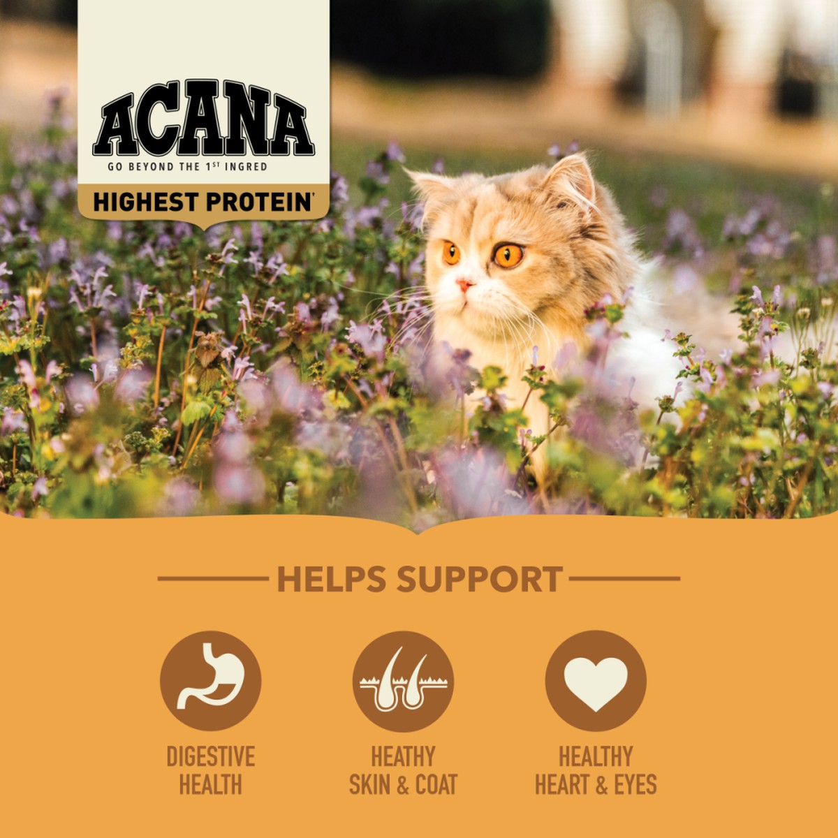 Acana Highest Protein, Meadowlands Grain Free Dry Cat Food 4lb | 014792EDO