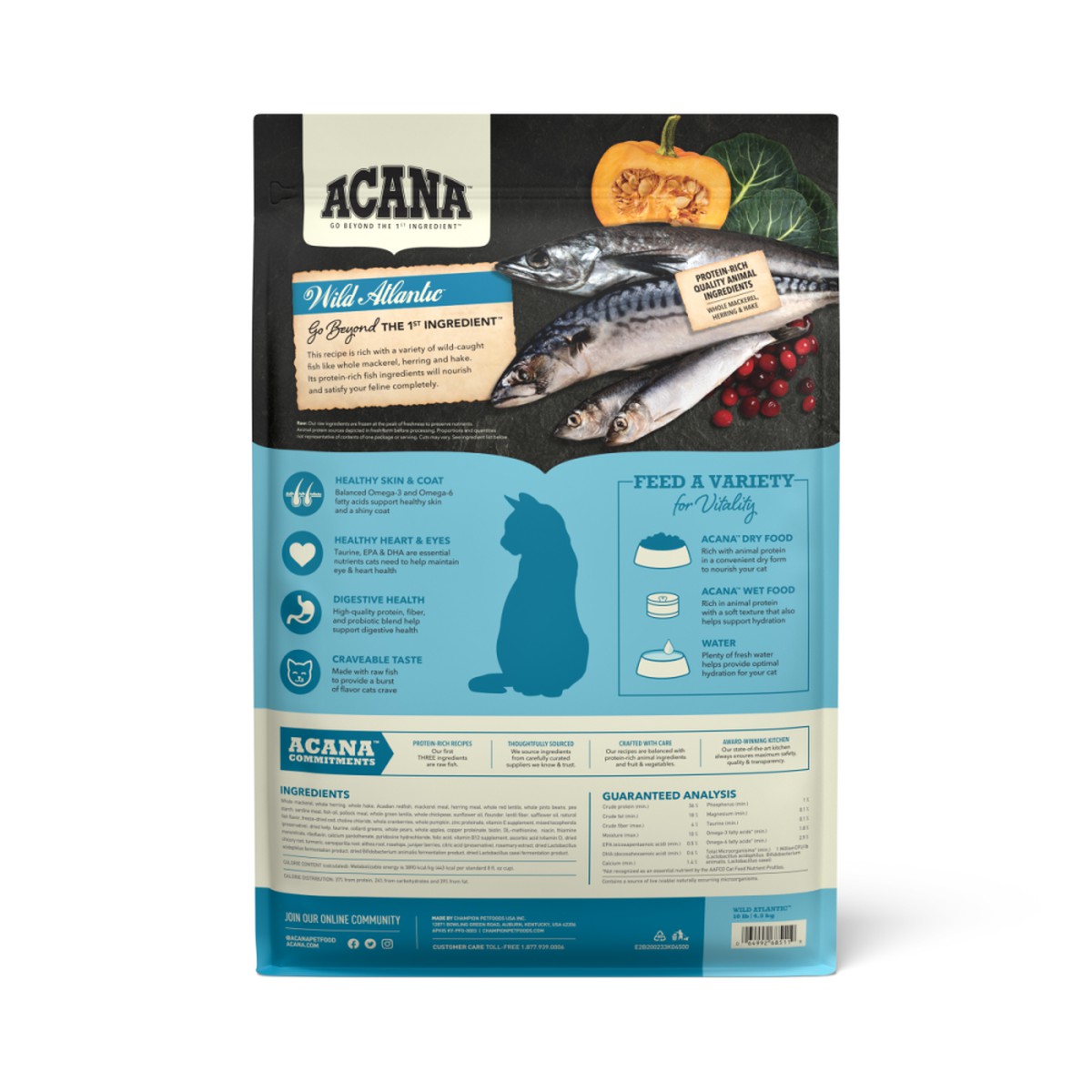 Acana Highest Protein, Wild Atlantic Grain Free Dry Cat Food 4lb | 735091YFD