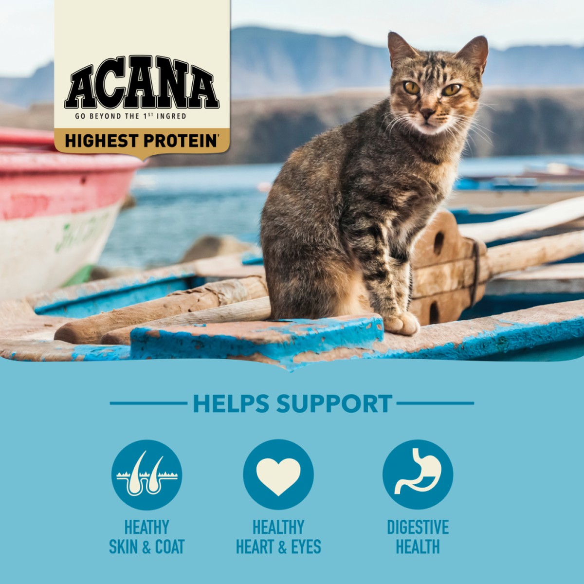 Acana Highest Protein, Wild Atlantic Grain Free Dry Cat Food 4lb | 735091YFD