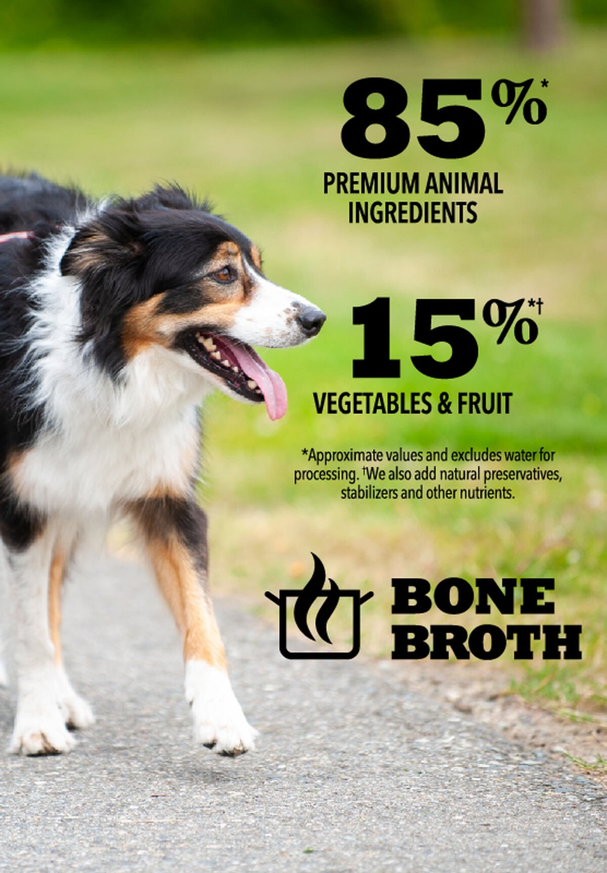 Acana Premium Chunks, Beef in Bone Broth Grain Free Wet Dog Food 12.8oz*12 | 749520CAH