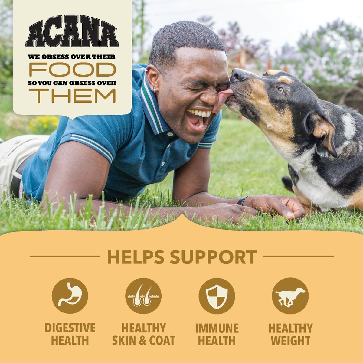 Acana Wholesome Grains, Free-Run Poultry & Grains Dry Dog Food 4lb | 580967NXW