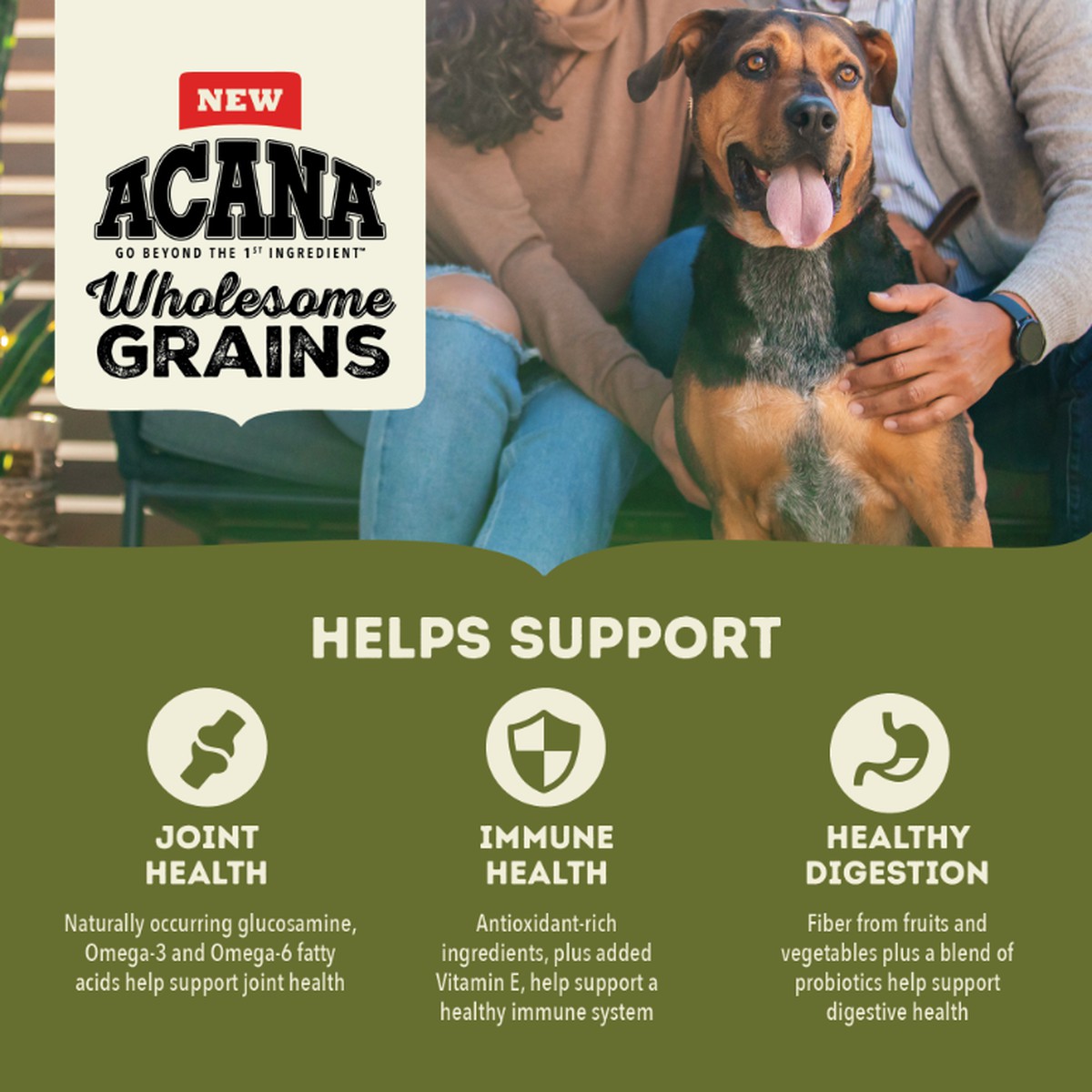 Acana Wholesome Grains, Large Breed Adult Dry Dog Food 22.5lb | 362789TVN