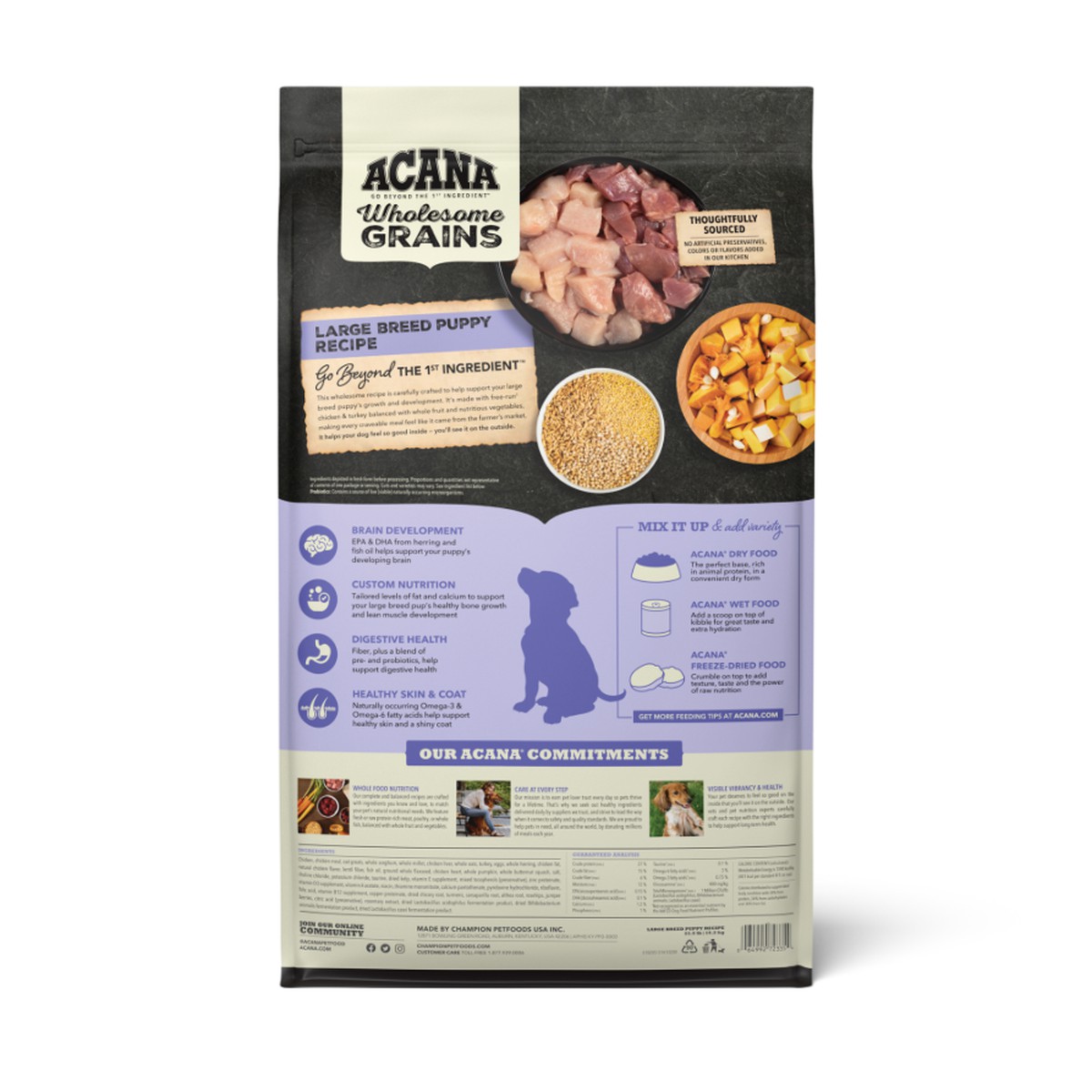 Acana Wholesome Grains, Large Breed Puppy Dry Dog Food 22.5lb | 832945JIO