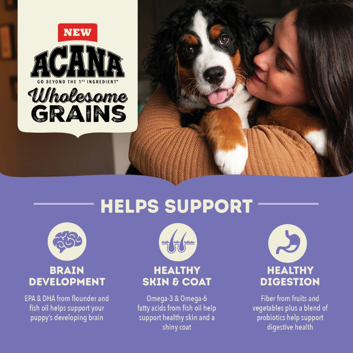 Acana Wholesome Grains, Large Breed Puppy Dry Dog Food 22.5lb | 832945JIO