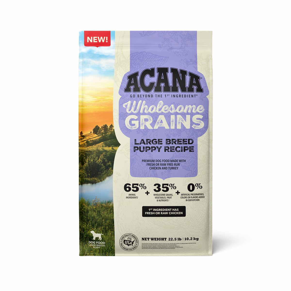 Acana Wholesome Grains, Large Breed Puppy Dry Dog Food 22.5lb | 832945JIO