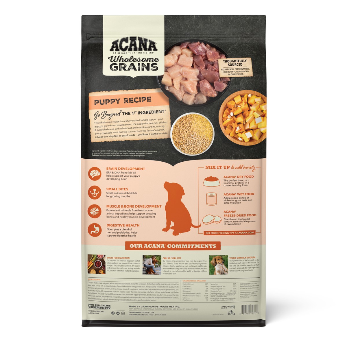 Acana Wholesome Grains, Puppy Dry Dog Food 4lb | 916034RTU