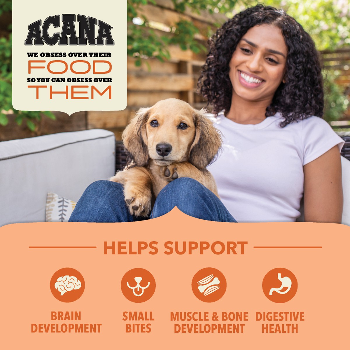 Acana Wholesome Grains, Puppy Dry Dog Food 4lb | 916034RTU