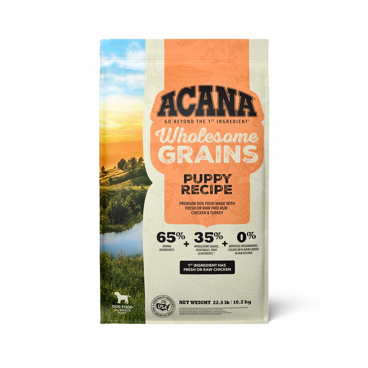 Acana Wholesome Grains, Puppy Dry Dog Food 22.5lb | 309621TGC