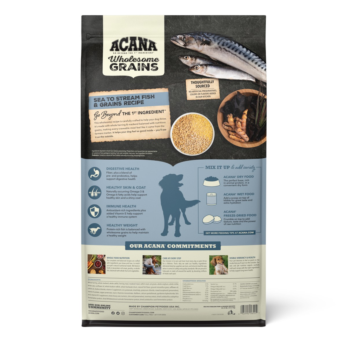 Acana Wholesome Grains, Sea to Stream Fish & Grains Dry Dog Food 22.5lb | 519832ZGS