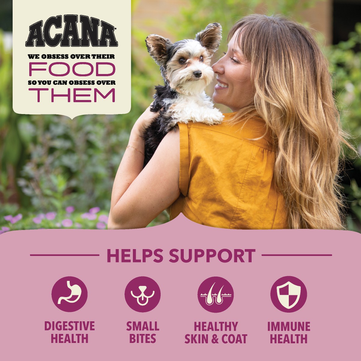 Acana Wholesome Grains, Small Breed Dry Dog Food 4lb | 904637GTM